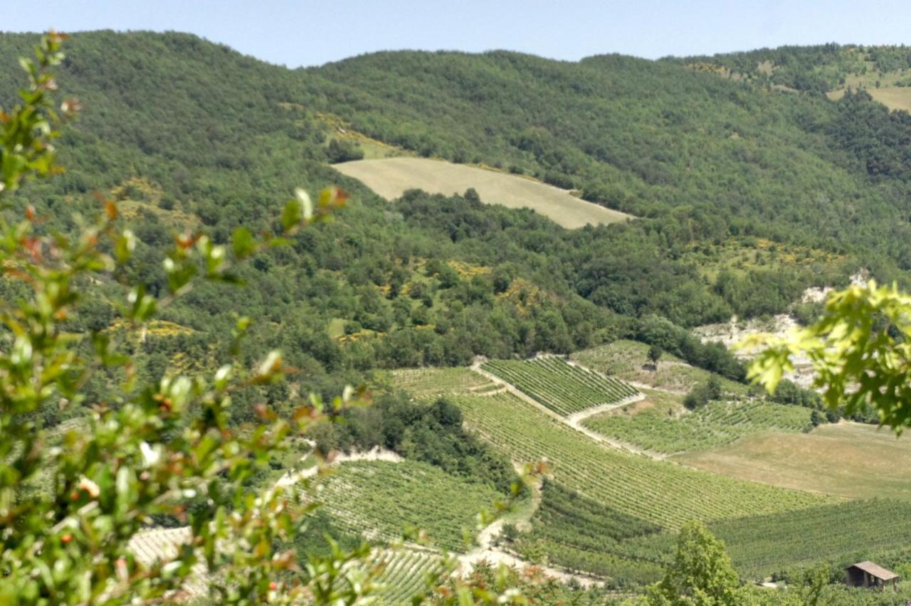 Vila Camia Torrazza Coste Exteriér fotografie